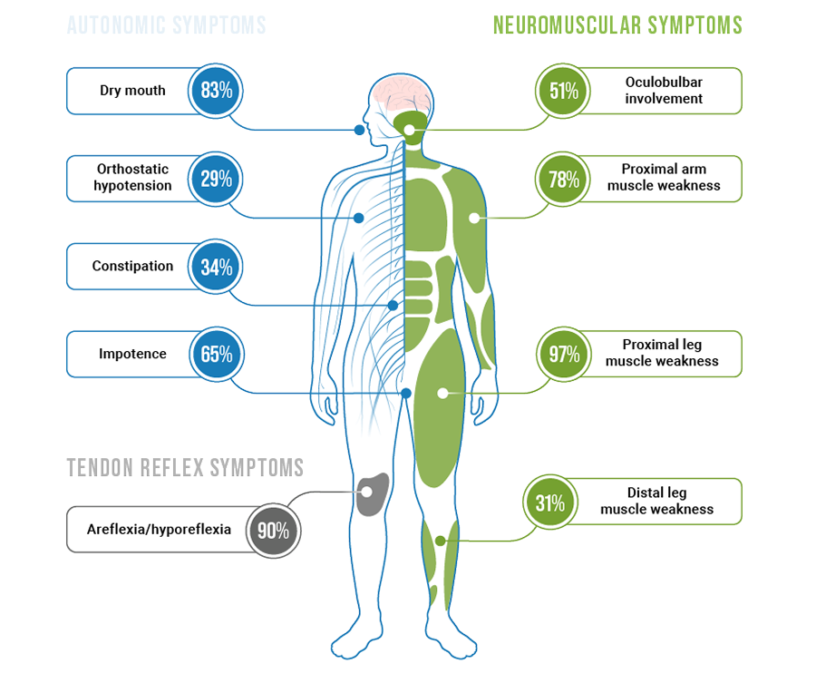 Chart showing LEMS signs and symptoms, including autonomic symptoms, neuromuscular symptoms, and tendon reflex symptoms. Autonomic symptoms include dry mouth - 83%; orthostatic hypotension - 29%;
constipation - 34%; impotence - 65%. Neuromuscular symptoms include oculobulbar involvement - 51%; proximal arm muscle weakness - 78%; proximal leg muscle weakness - 97%; distal leg muscle weakness - 31%. Tendon reflex symptoms include
areflexia/hyporeflexia - 90%